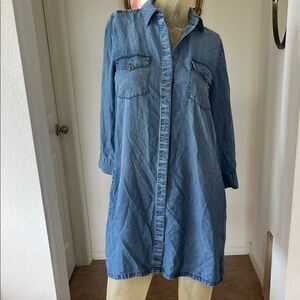 Club Monaco Light Blue Chambray Dress
